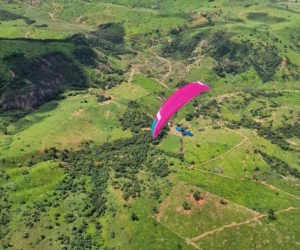 piloto de parapente famoso